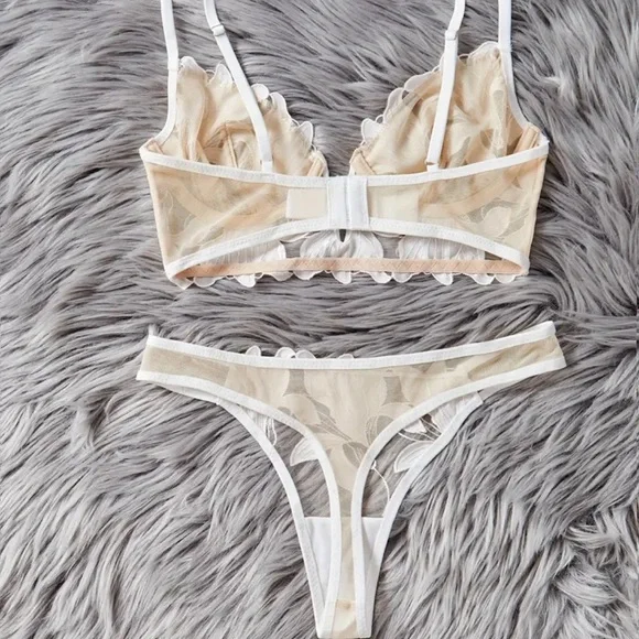 IZA Lotus Ivory Satin Embroidered Over Sheer Mesh Deep V Bustier Bra & Panties - Picture 7 of 15